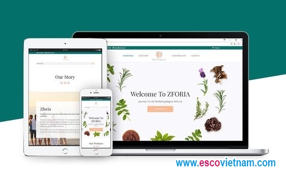 thiet ke website trung tam dinh duong  chuyen nghiep uy tin